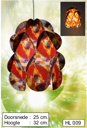 HL 009